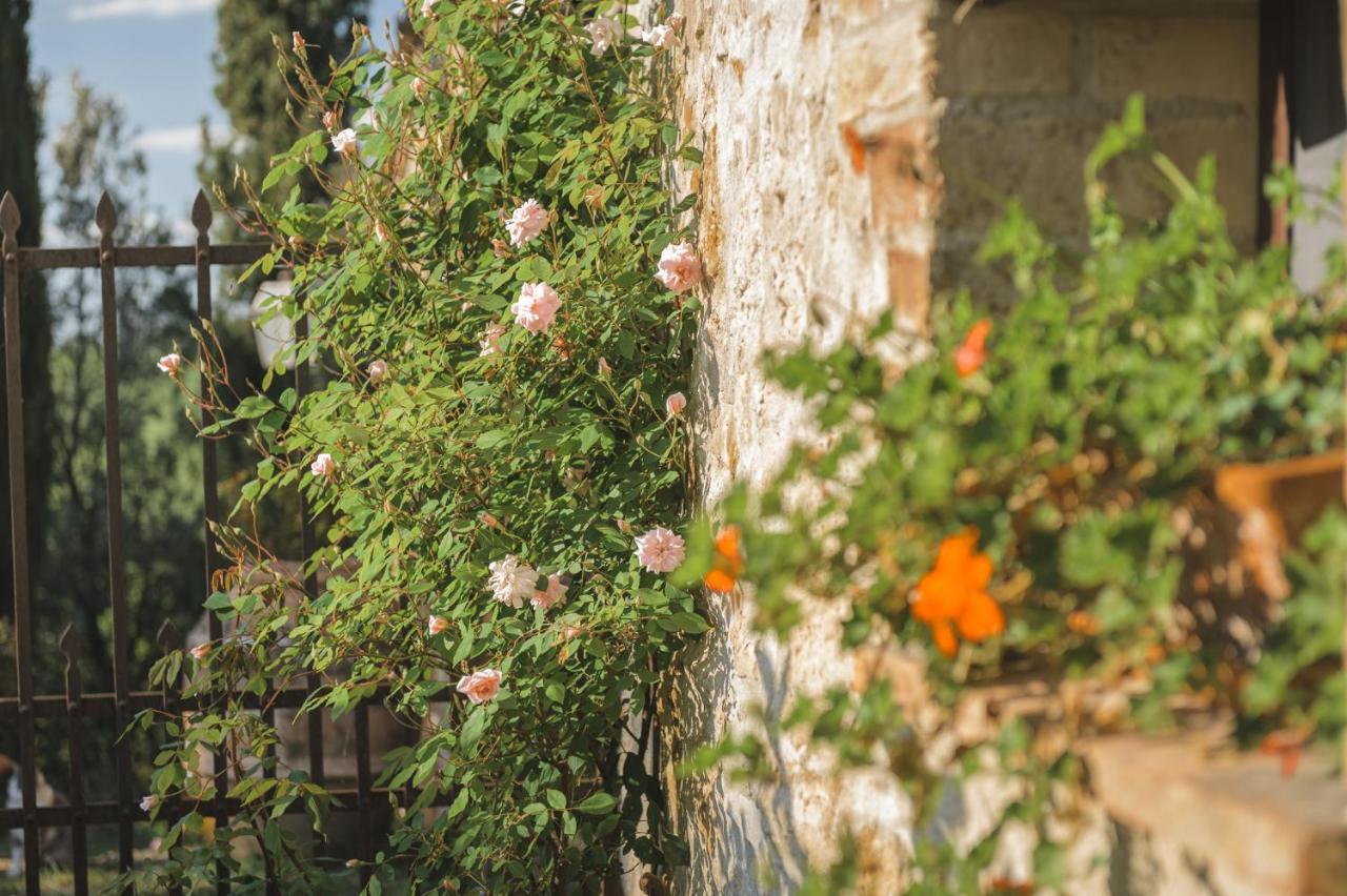 Agriturismo Cretaiole 皮恩扎 外观 照片