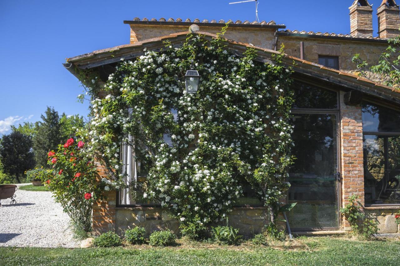 Agriturismo Cretaiole 皮恩扎 外观 照片