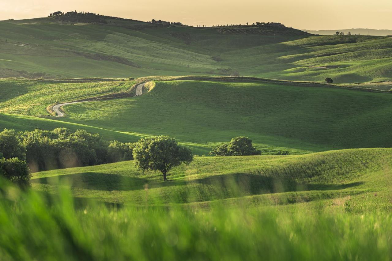 Agriturismo Cretaiole 皮恩扎 外观 照片