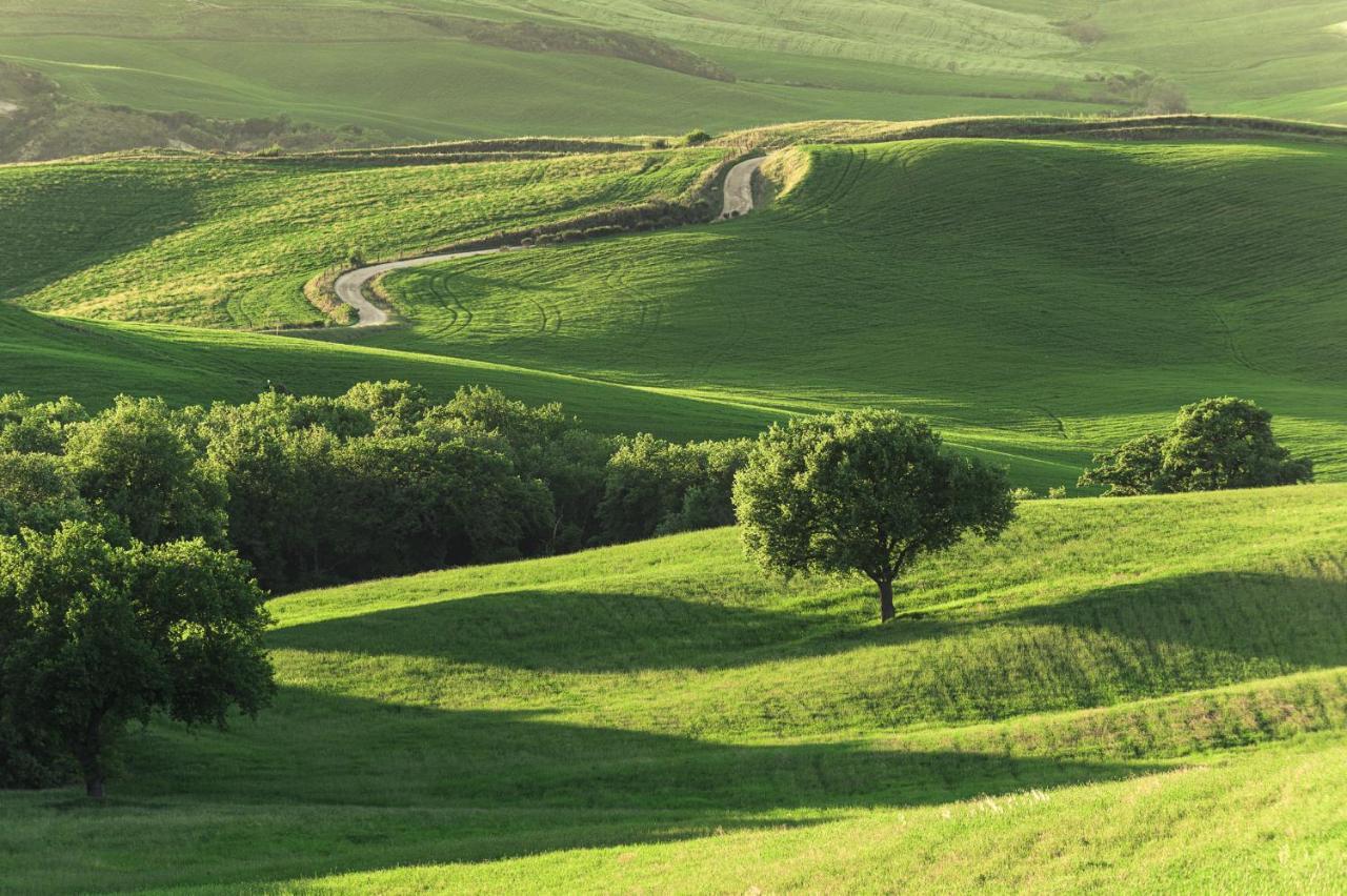 Agriturismo Cretaiole 皮恩扎 外观 照片