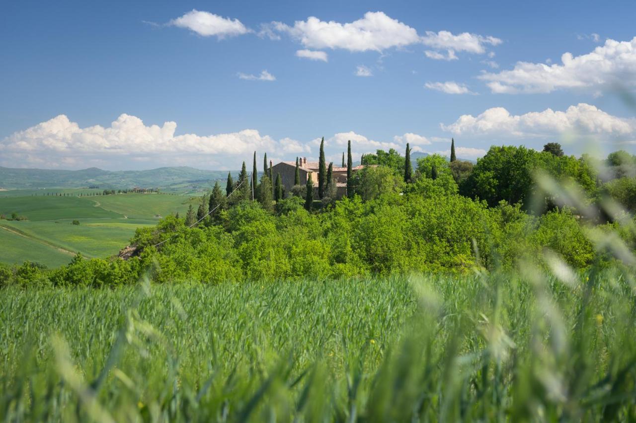 Agriturismo Cretaiole 皮恩扎 外观 照片